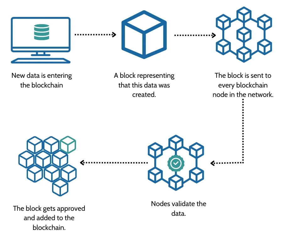 What is a node in crypto